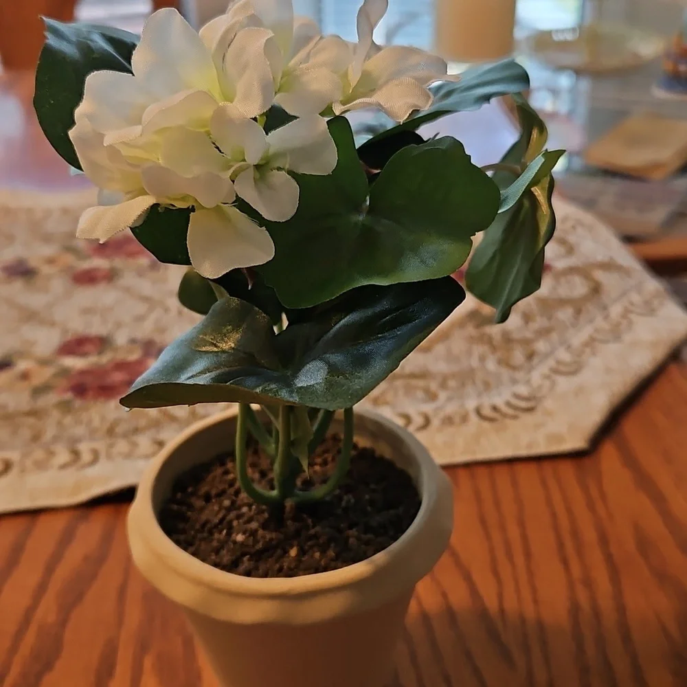 NWT Threshold Faux Floral Geraniums - White Blooms with Green Foliage. Set of 3
